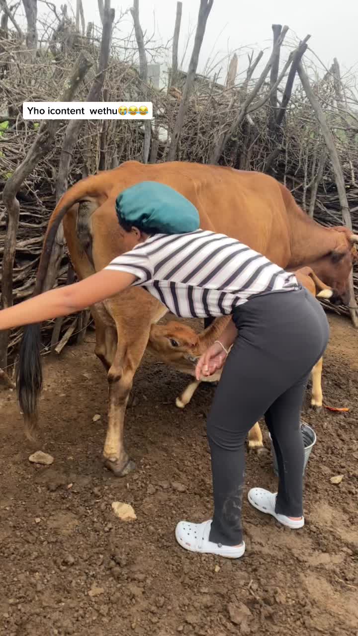 @Zimasa