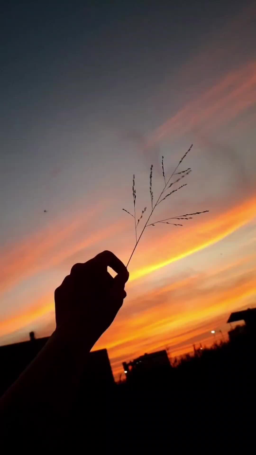 @Rossy Ram&iacute;rez 🖤