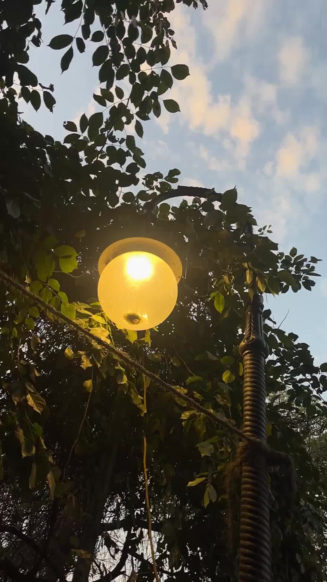 @𝘼𝙡𝙮𝙮-🕷️