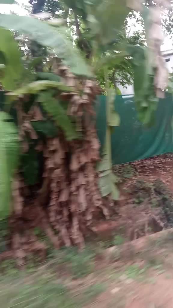 @കലിപ്പന്റെ കാന്താരി