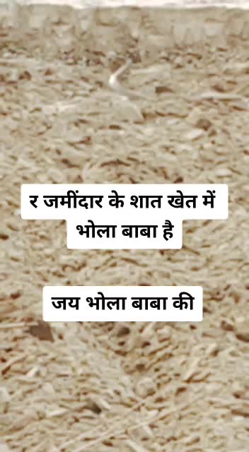 @Ankush123