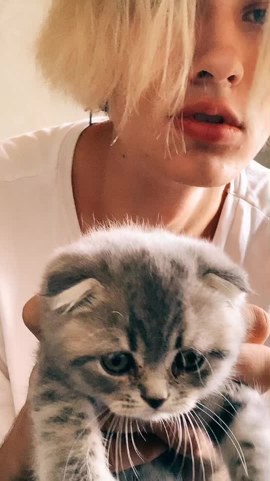 @Aystallll