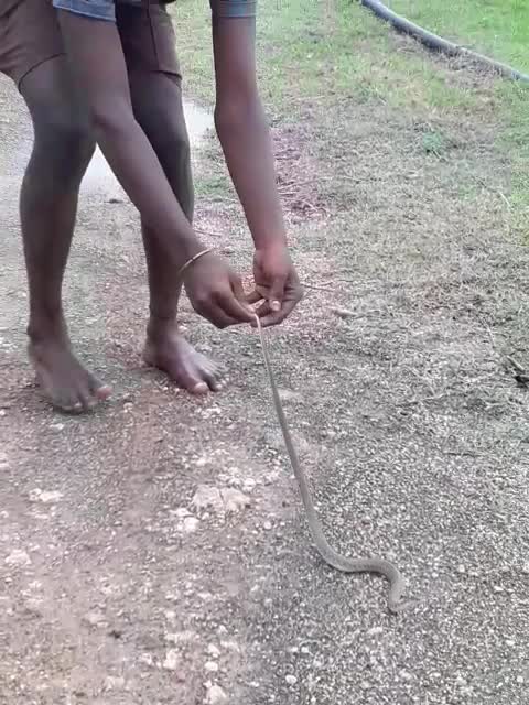 @vemula akash..!