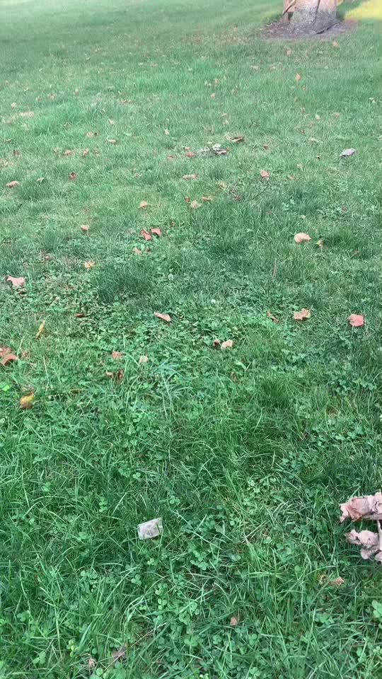 @HumdrumOrange3 🇨🇦