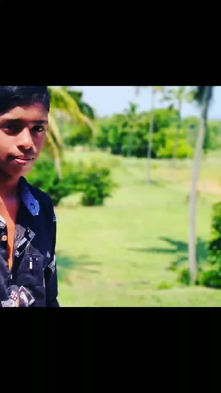 @Mushrap Mushrap