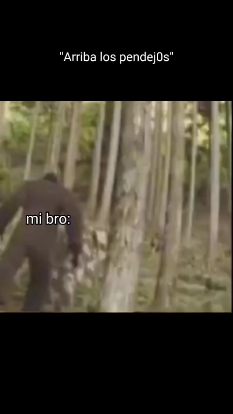 @弗里科