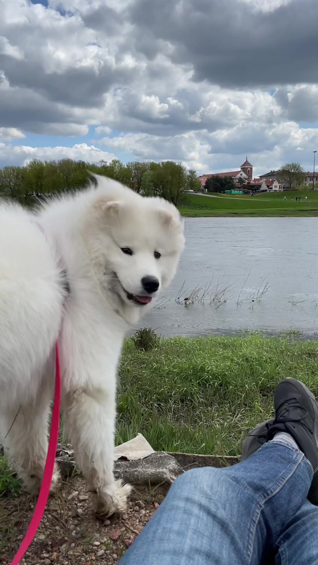 @Mendel the floppy-eared