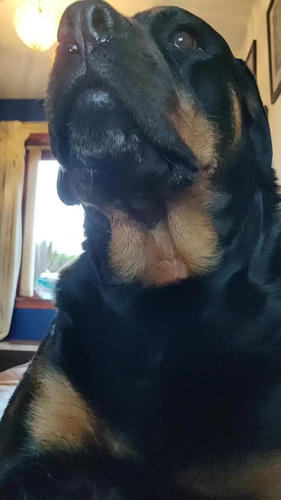 @Alice Farrell
