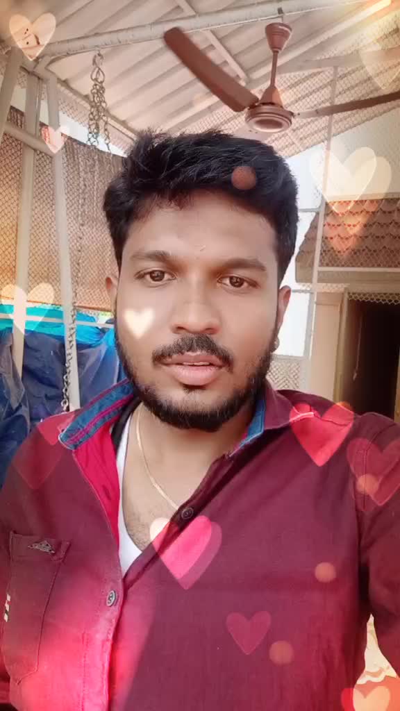 @Pavi Hariharan