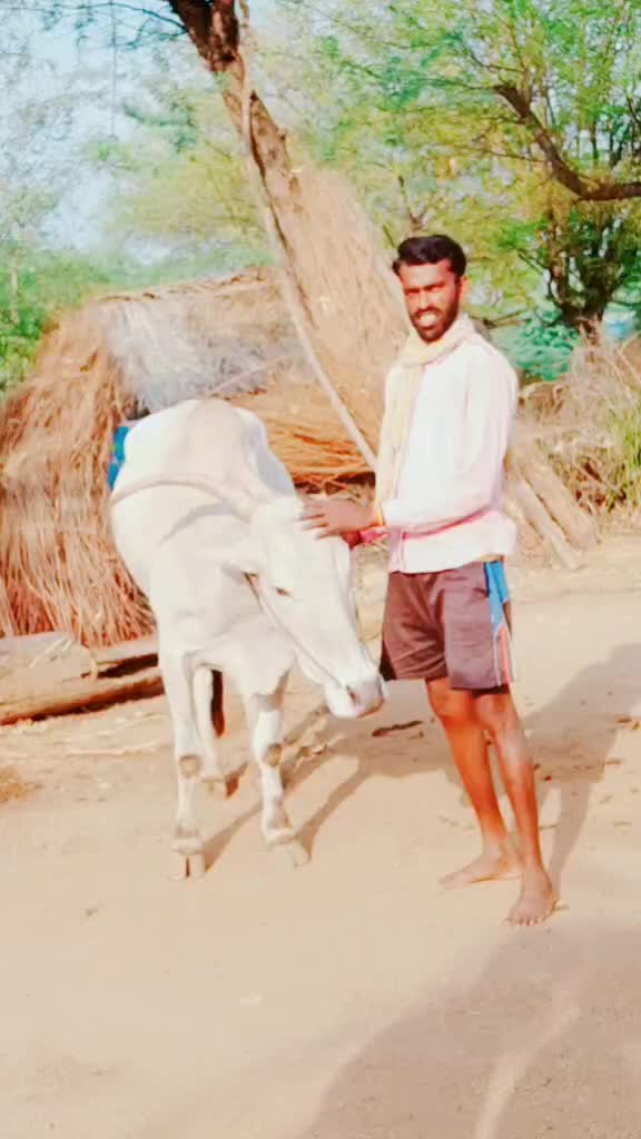 @sreedhar d boss