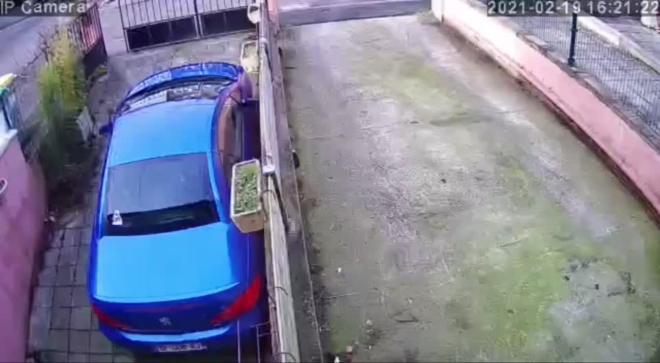 @🤜🏼𝓛𝓾𝓭𝔀𝓲𝓴🥊