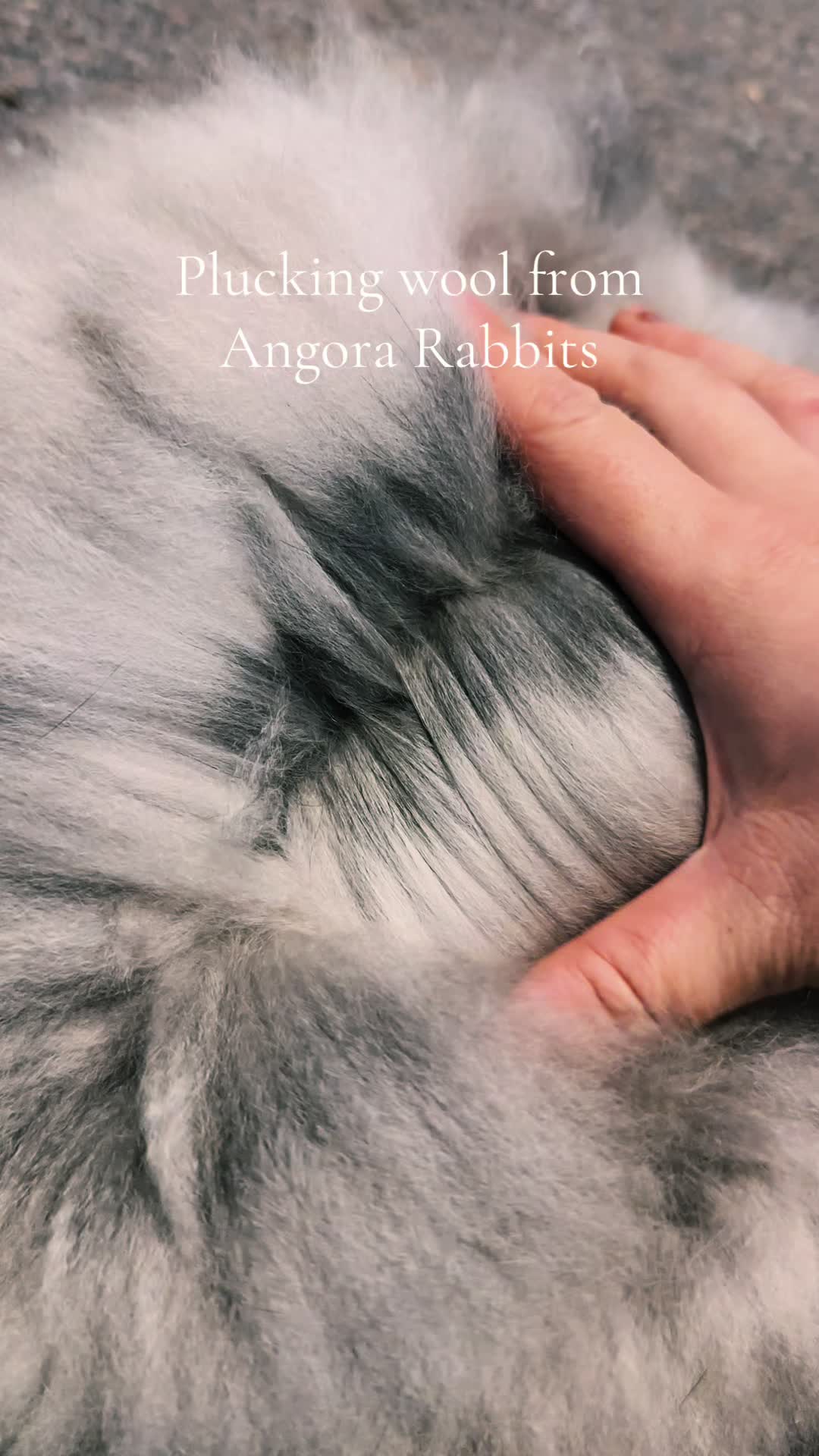 @Yarnandthyme