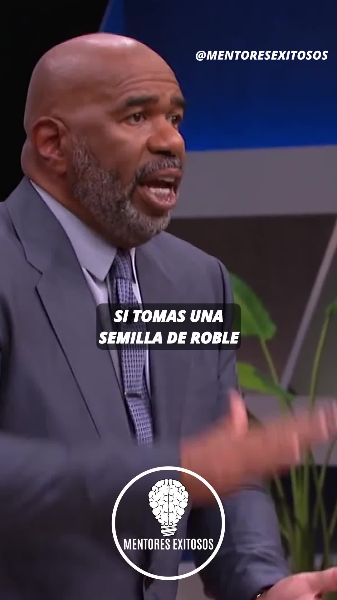 @Mentores Exitosos