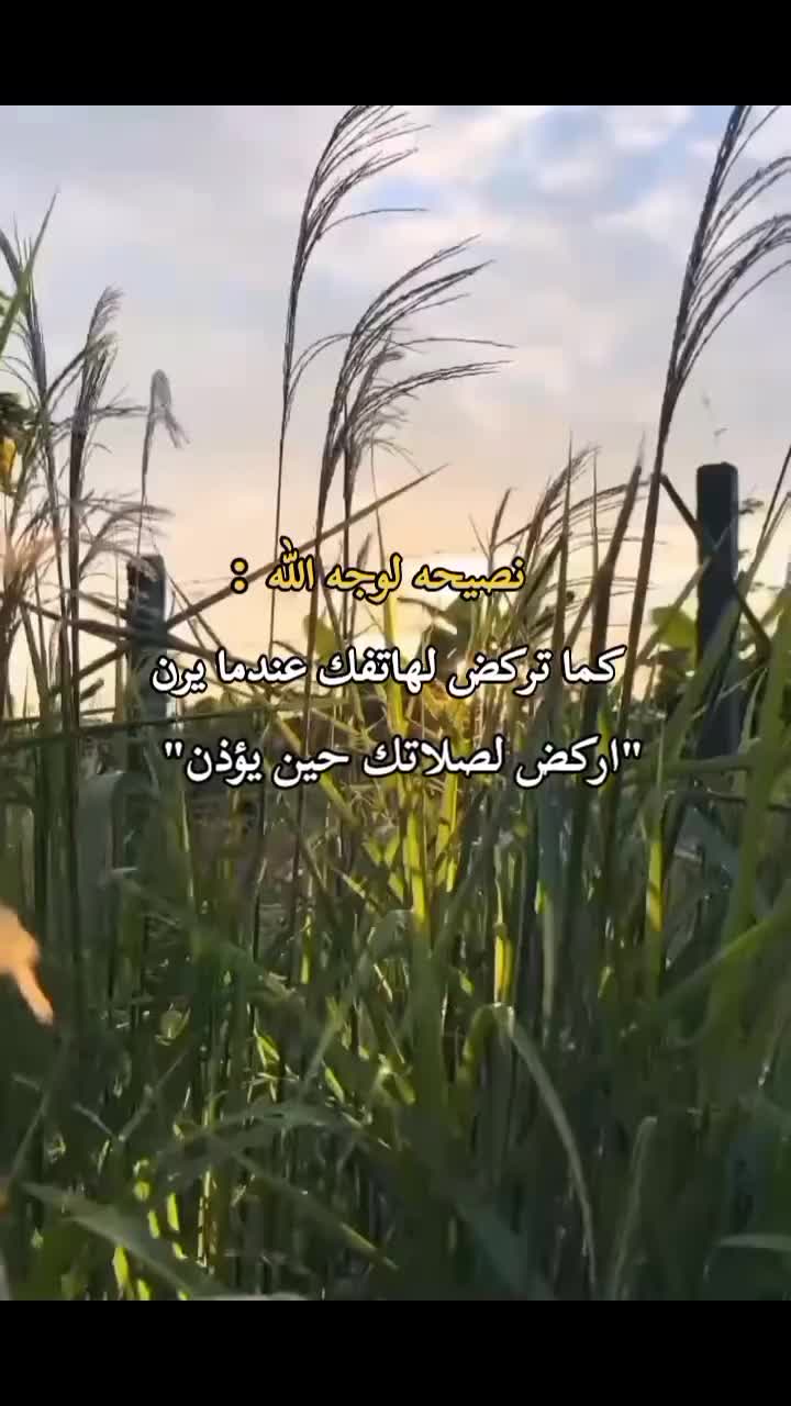 @امازيغي حر