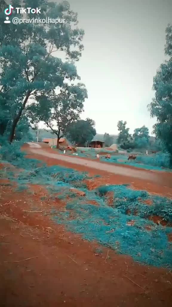 @शाहूवाडीकर👑✌️