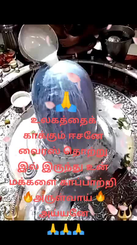 @user60354879979