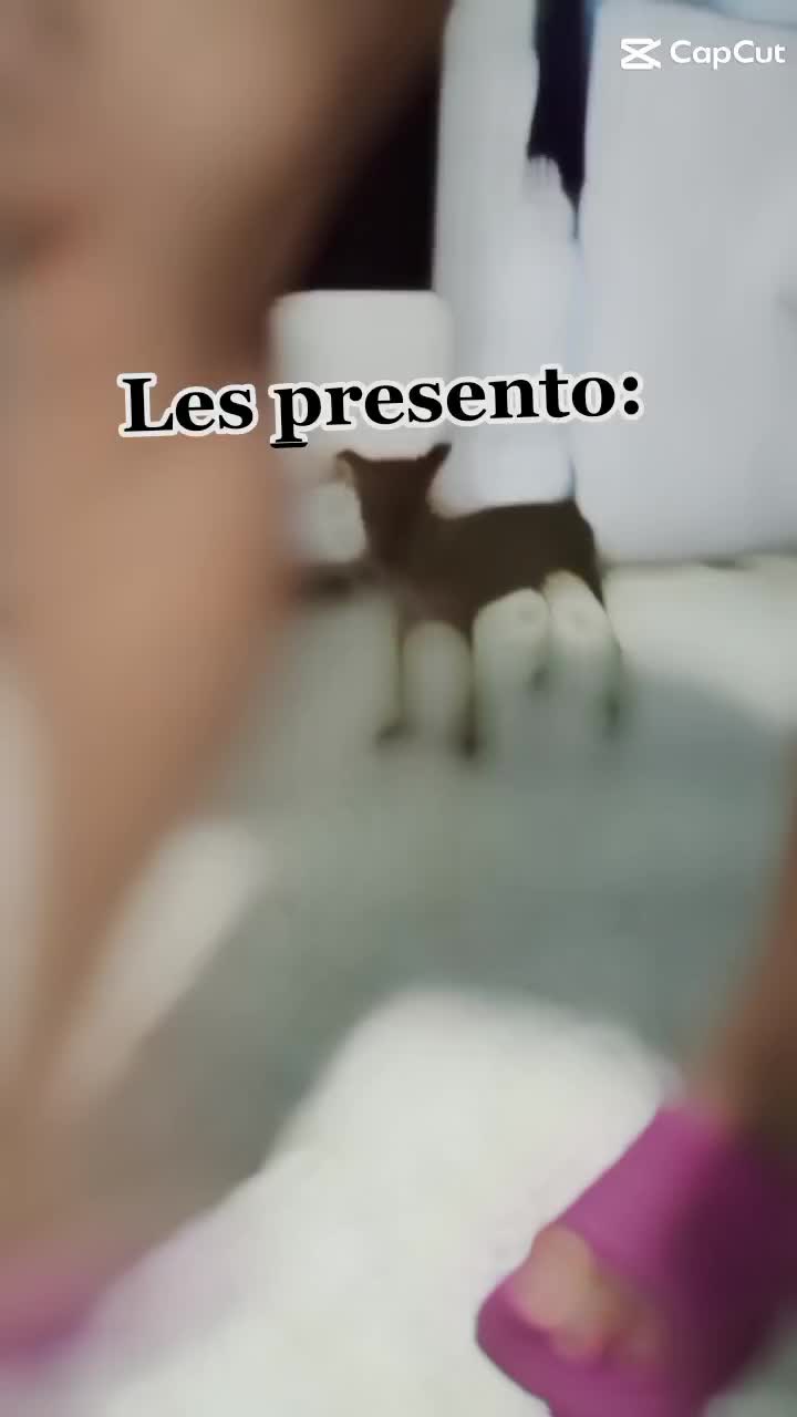 @Ak