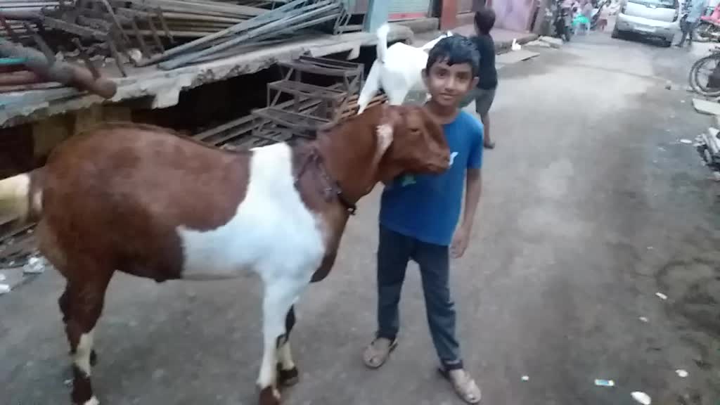 @Samar Qazi