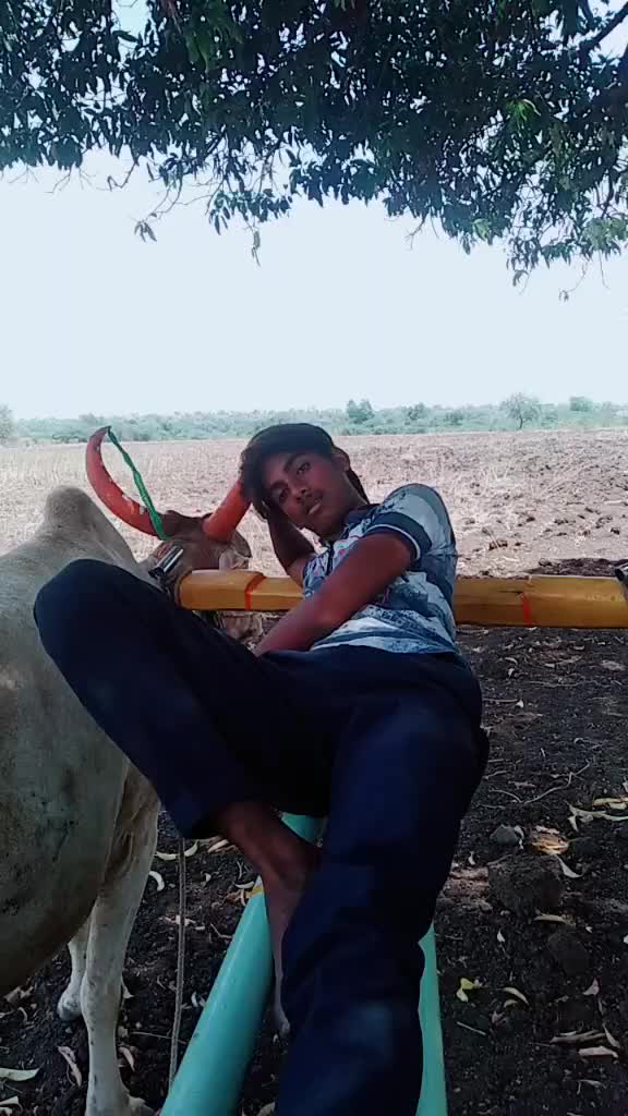 @#Rock_Rocky#