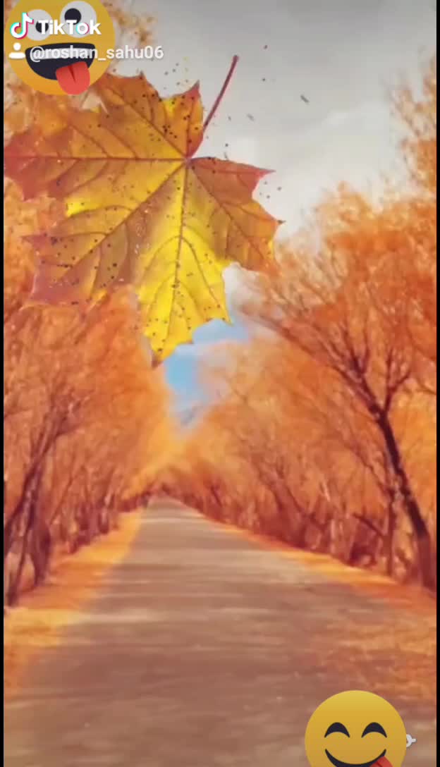 @Roshan sahu756575407