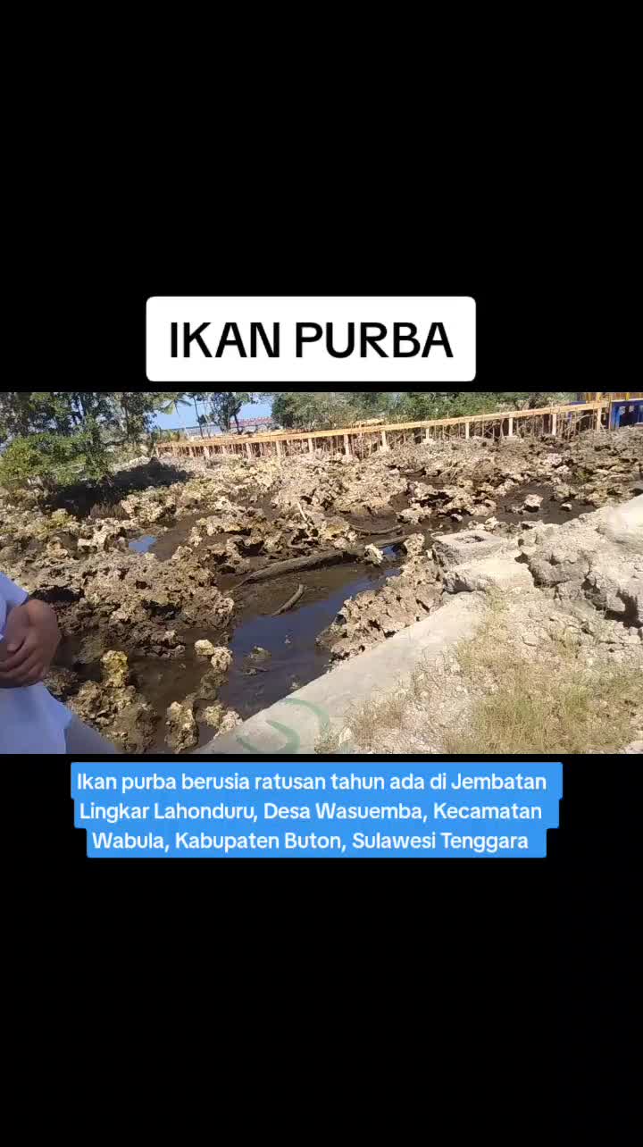 @Buton Pos
