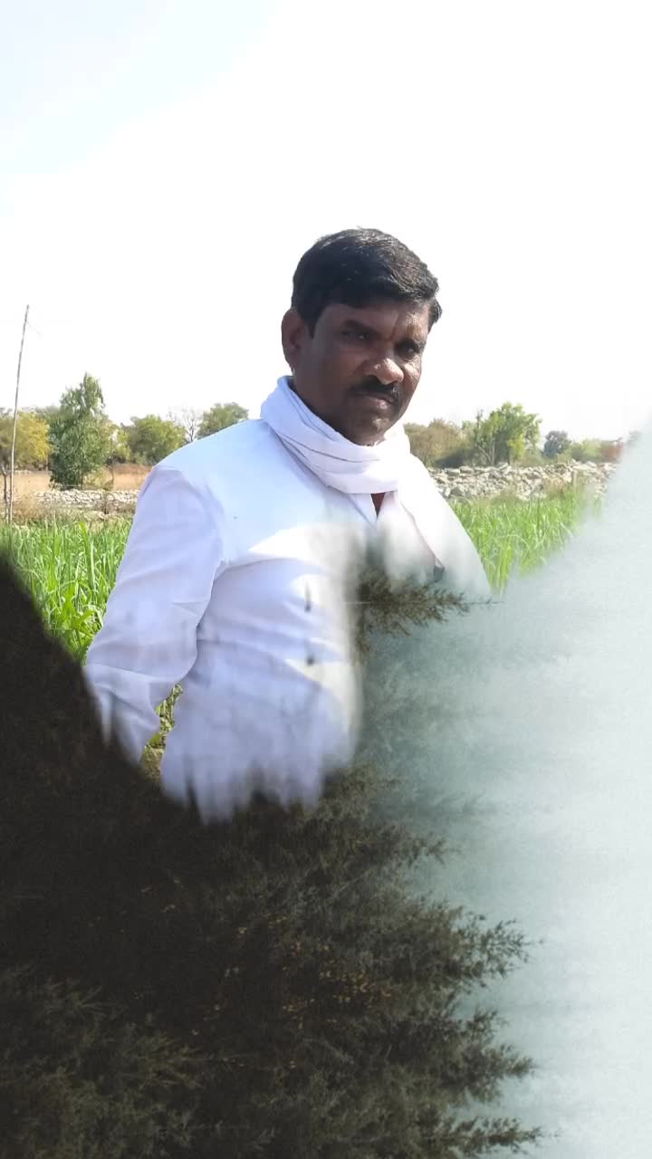 @shashi