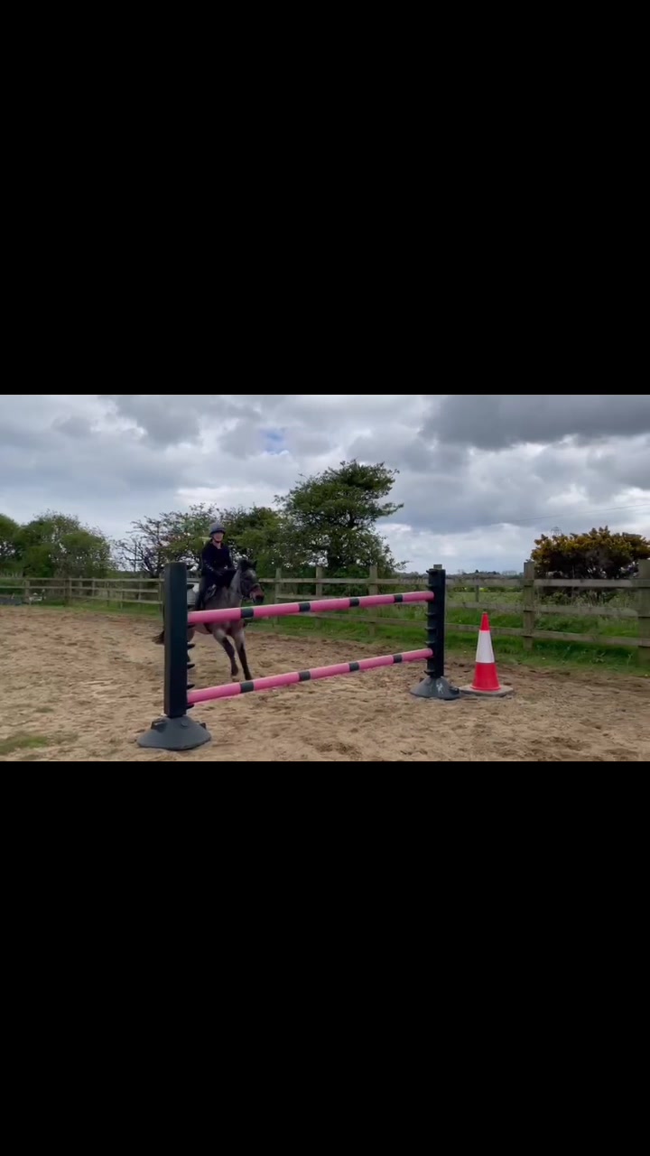 @Bow meadows farm