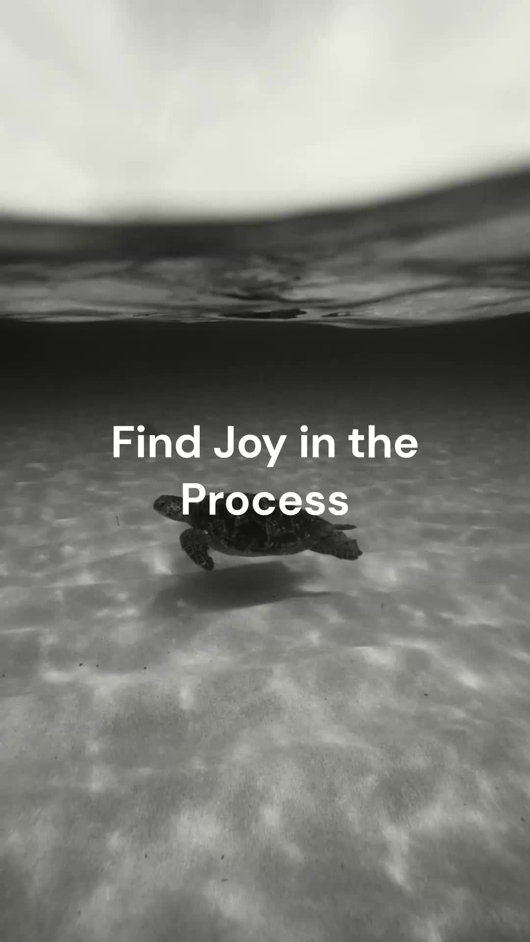 @MotivationX