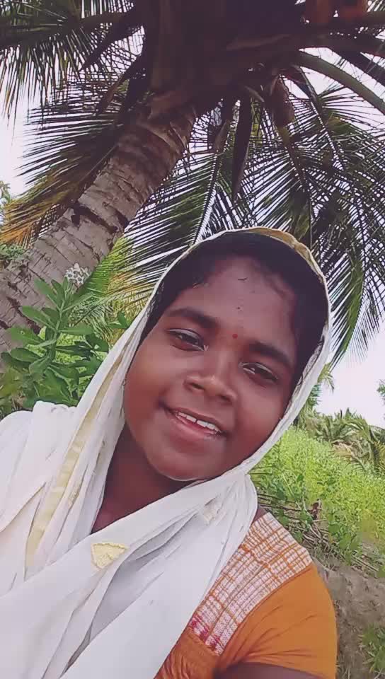 @user529647