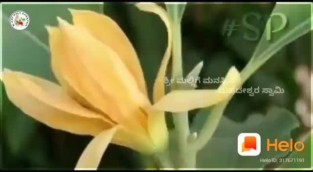 @Sanju_Gowda