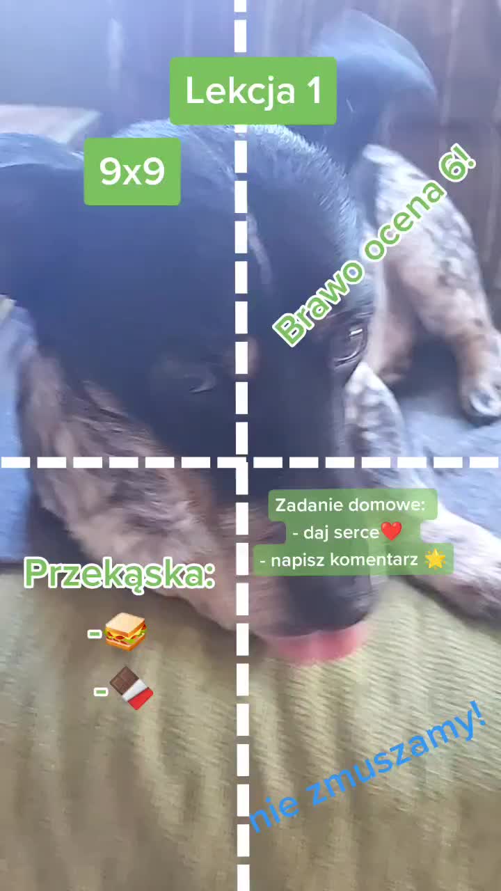 @💫 PAPIK 💫