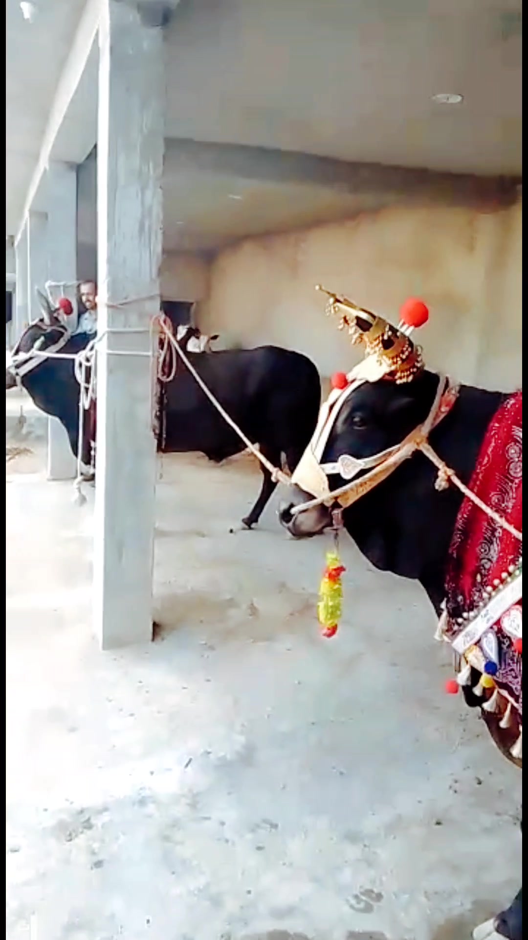 @Ch badar hussain
