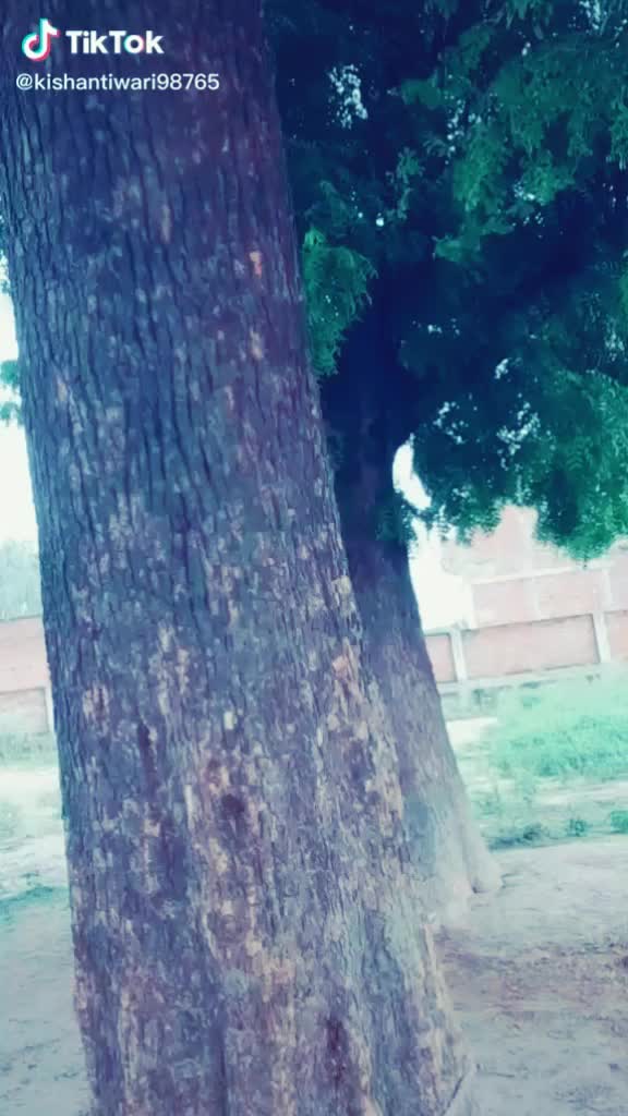 @poojajadhav786