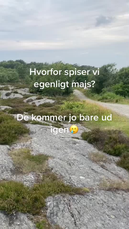 @Salsa1738
