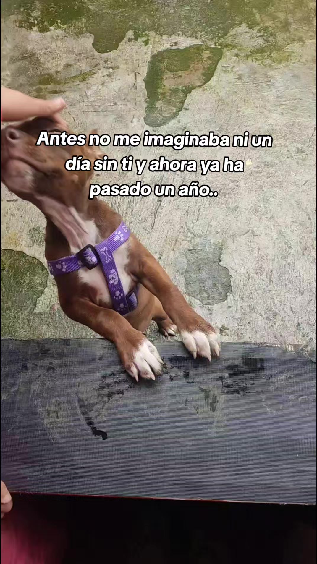 @A