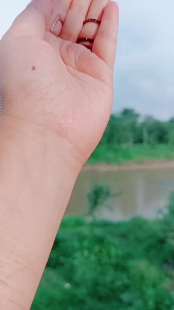 @Pixy Trishna Borah