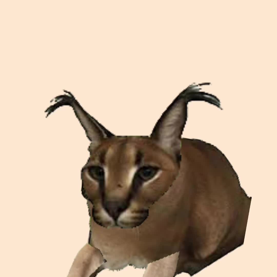 @☆kiki☆