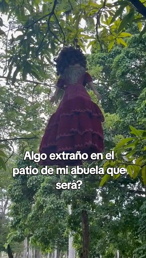 @Reliquia Dominicana