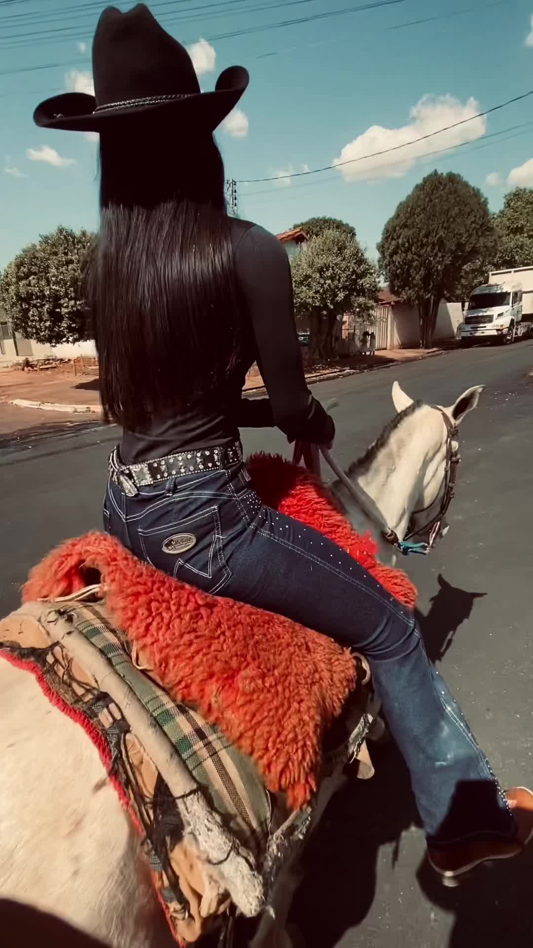 @boiadeira_dressa
