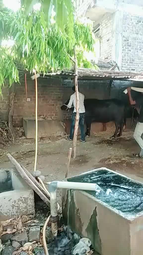 @user85591768461