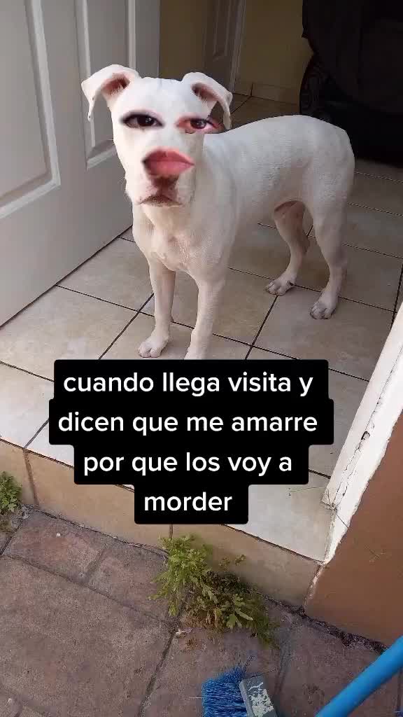 @Priscila.45