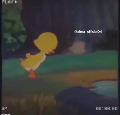 @•••••