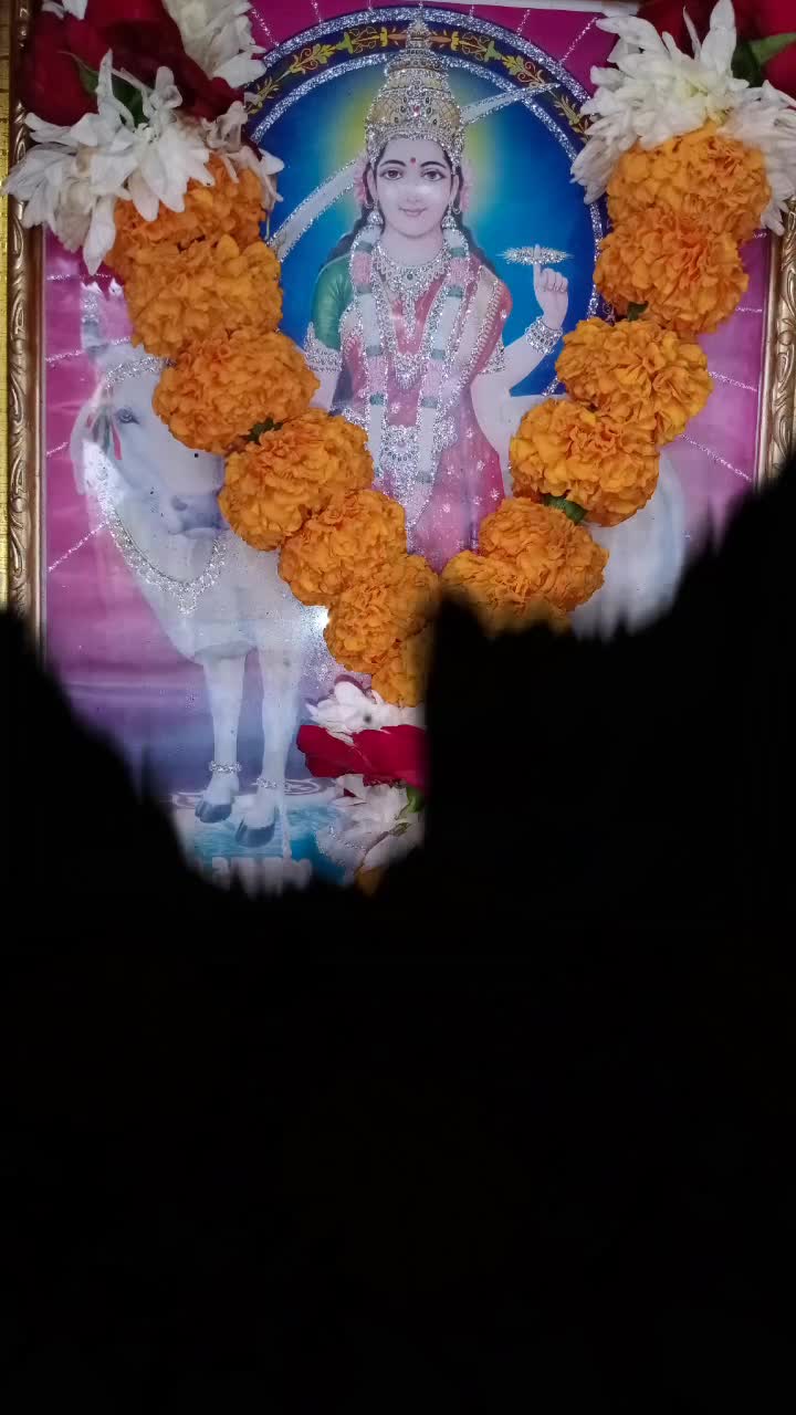 @@MaheshKatodiya_8182