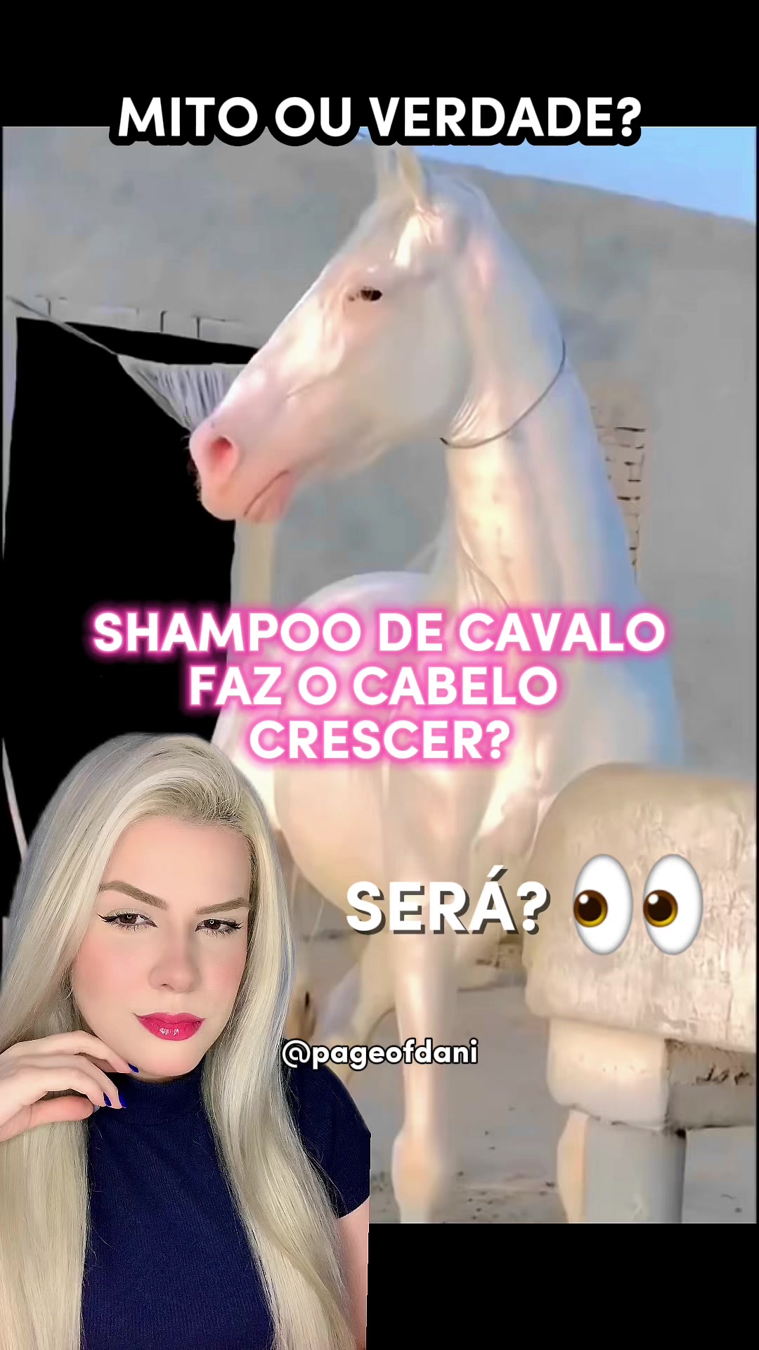 @Pageofdani