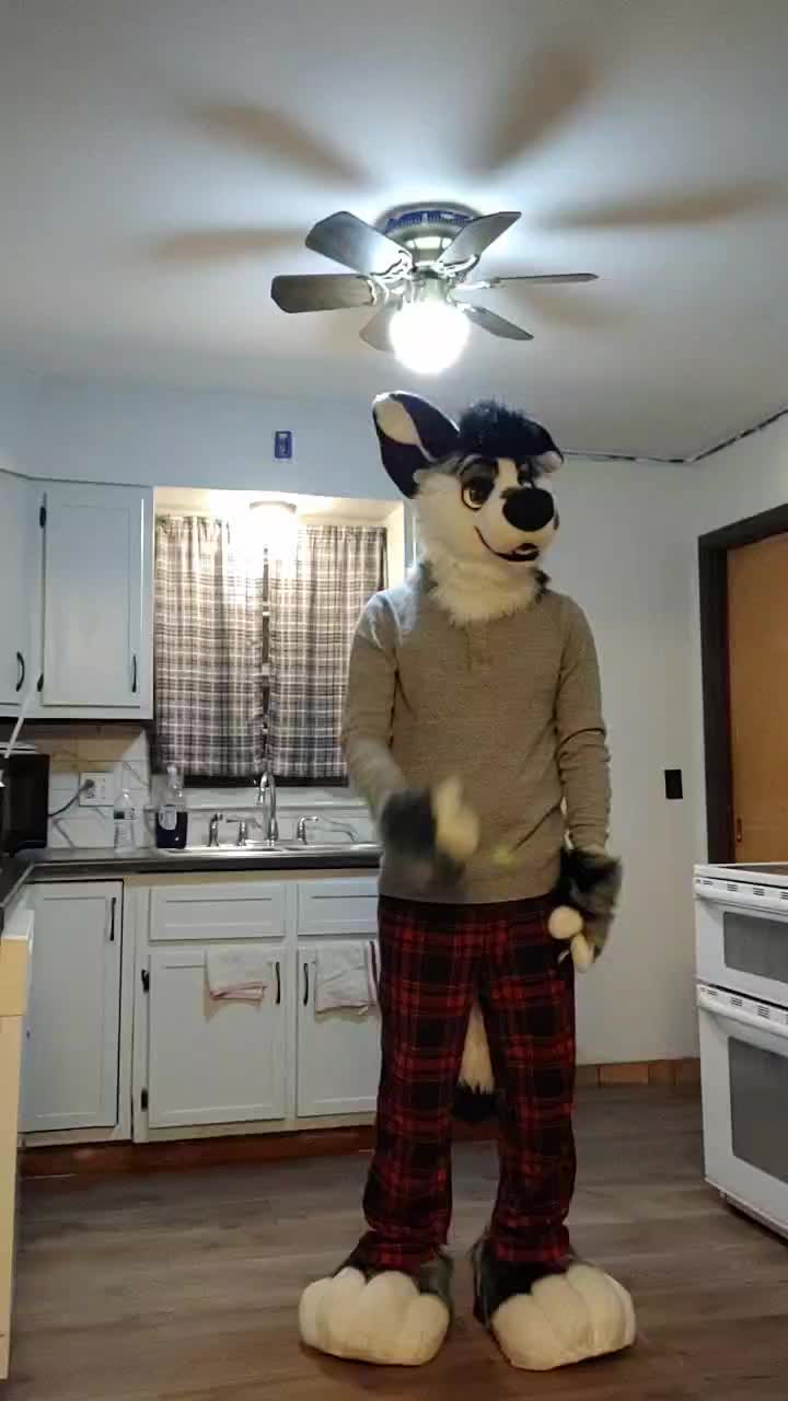@Ryker_Mutt
