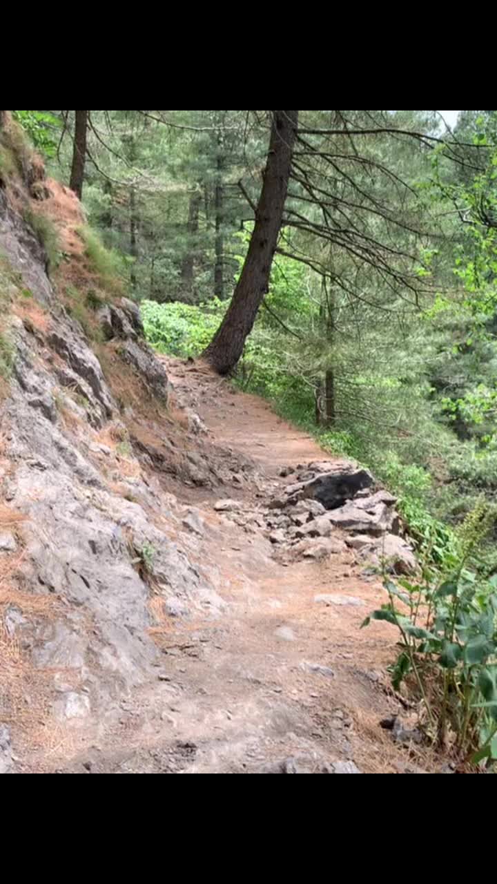 @Shahzaib Ali