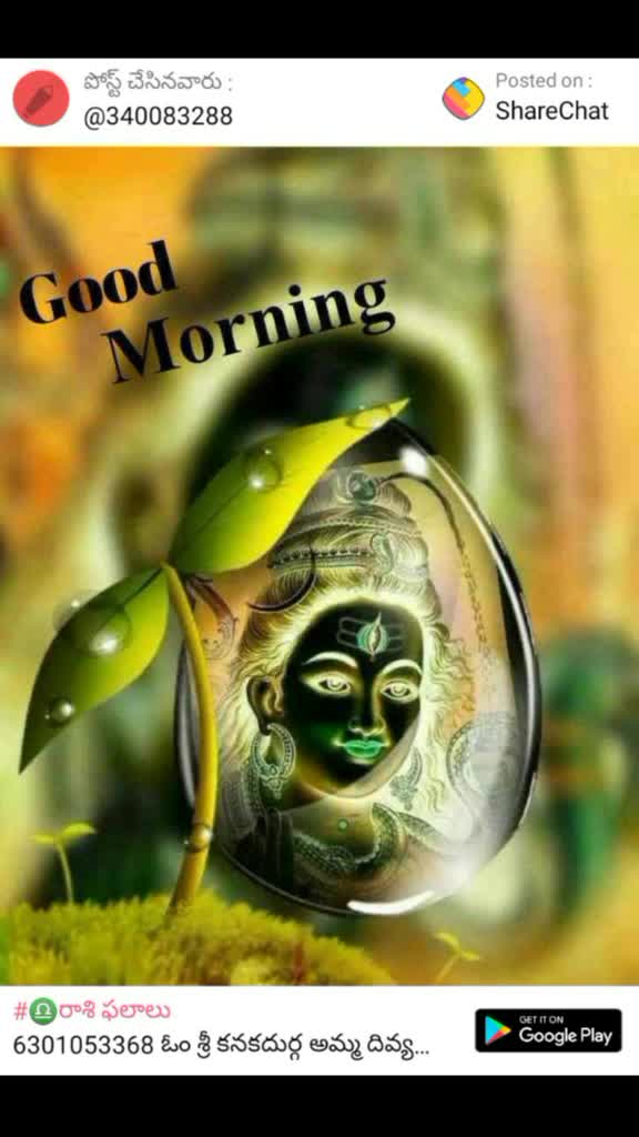 @lavanya