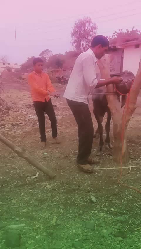 @user2127188260004