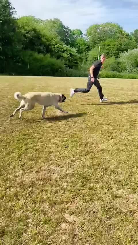 @essexkangals