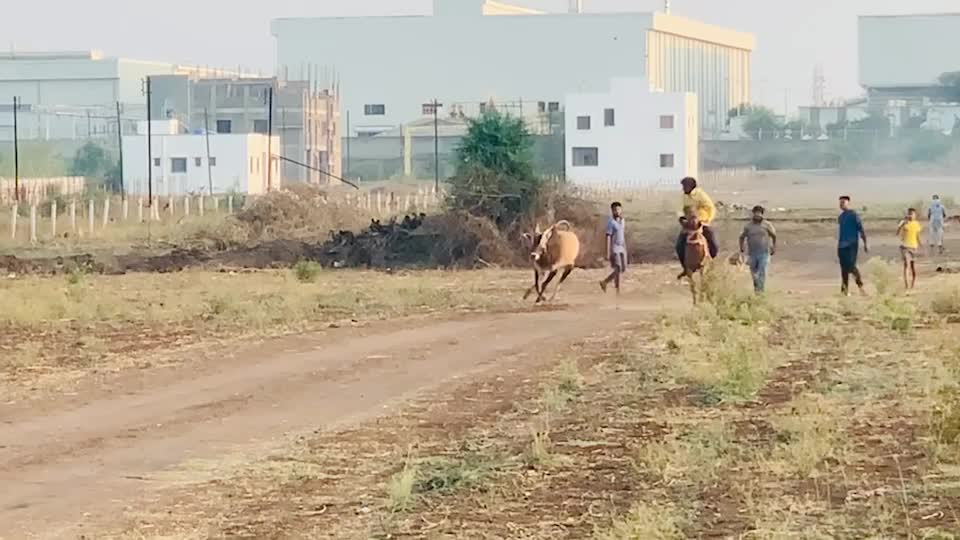 @PRASAD BHUJBAL ⚜️